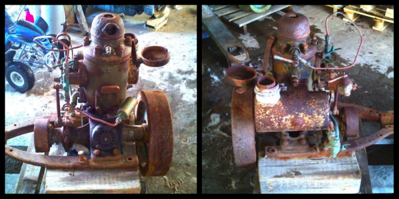 Fil:Collage Børr 4.hk.jpg