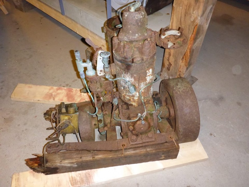 Fil:Arctandria Kystmuseumet Nordskot.jpg